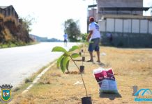Dia 22 será de plantio de arvores em Barroso. Participe!