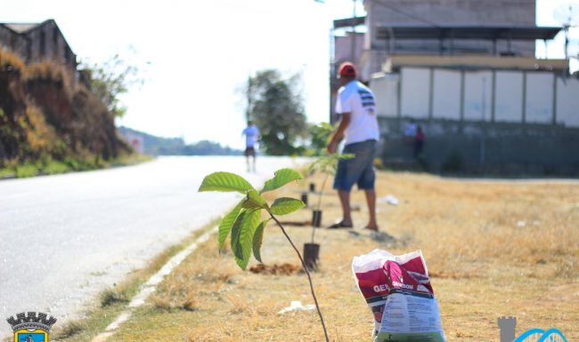 Dia 22 será de plantio de arvores em Barroso. Participe!
