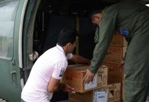 Mais de 28 mil militares das Forças Armadas devem atuar nas eleições deste ano
