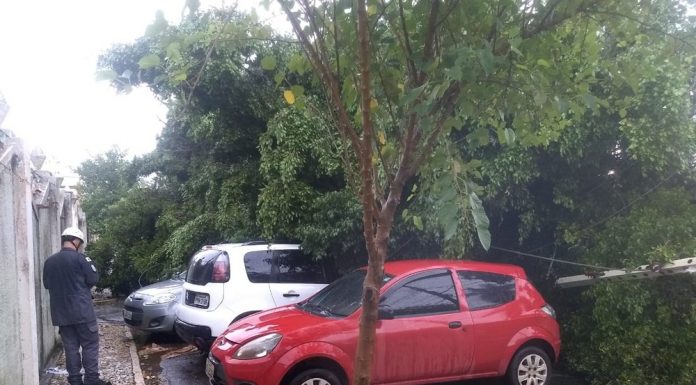 Bombeiros cortam árvores que caíram durante a chuva em São João del Rei