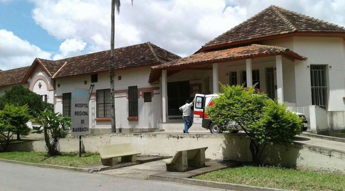 Homem passa mal após sofrer picada de aranha venenosa em Barbacena