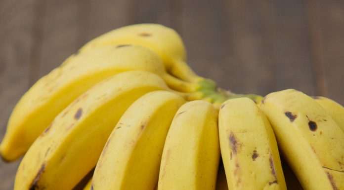 Comitê de Ação Participativa abre inscrições para Curso de Processamento de Banana Prata