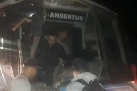 Três cavalos na pista causaram acidente com ônibus da Marluvas