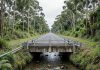 Carreta cai de ponte na BR-265 em São João del-Rei e motorista fica ferido Trecho de rodovia com ponte sobre ribeirão em área rural de Minas Gerais