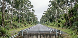 Carreta cai de ponte na BR-265 em São João del-Rei e motorista fica ferido Trecho de rodovia com ponte sobre ribeirão em área rural de Minas Gerais